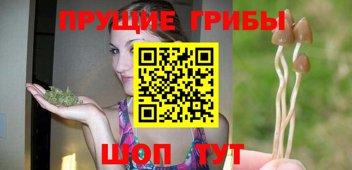 Псилоцибиновые грибы Magic Shrooms  Галлюциногенные грибы мухоморы  Вход с VPN  где купить наркоту  Владивосток 